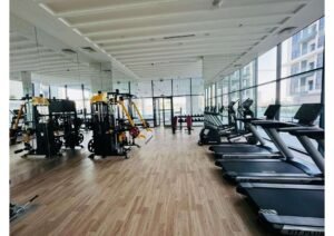 1 bhk at petalz by danube, international city138