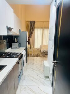 resort style studio at olivz by danube, international city11